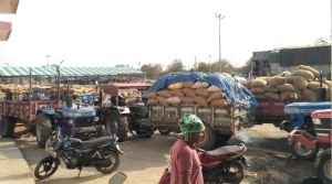 Patharia Krishi Upaj Mandi Samiti Image 4