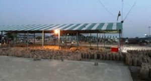 Patharia Krishi Upaj Mandi Samiti Image 3