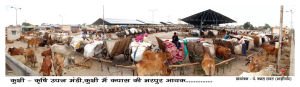 Kukshi Krishi Mandi Samiti