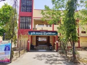 Taal Krishi Upaj Mandi Samiti