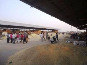 Rajgarh Krishi Upaj Mandi Samiti