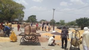 Piplya Krishi Upaj Mandi Samiti