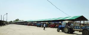 Shujalpur Krishi Upaj Mandi Samiti image1