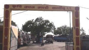 Kannod Krishi Mandi Samiti