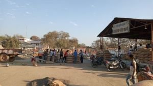 Tikamgarh Krishi Upaj Mandi Samiti image 2