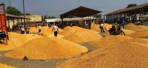 Multai Krishi Upaj Mandi Samiti