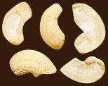 Large-White-Pieces-LWP CASHEW KERNELS - WHITE PIECES