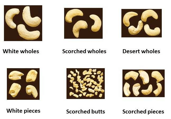 cashew-grades
