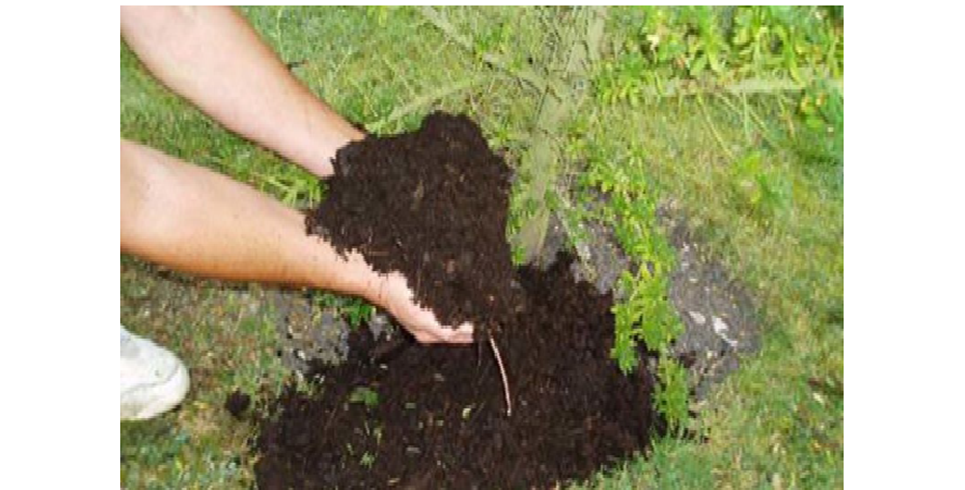 उर्वरक का करें इस्तेमाल