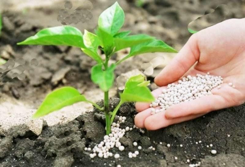 किसान खुद ही जांच सकते हैं उर्वरकों की गुणवत्ता