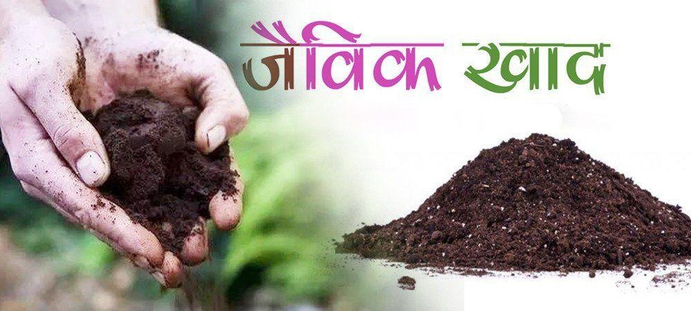 जैविक खाद