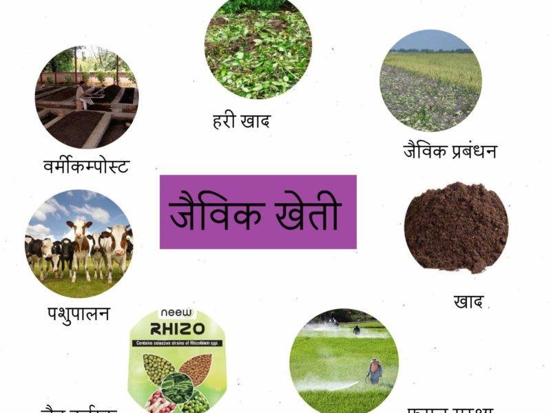 जैविक खेती से लाभ ही लाभ