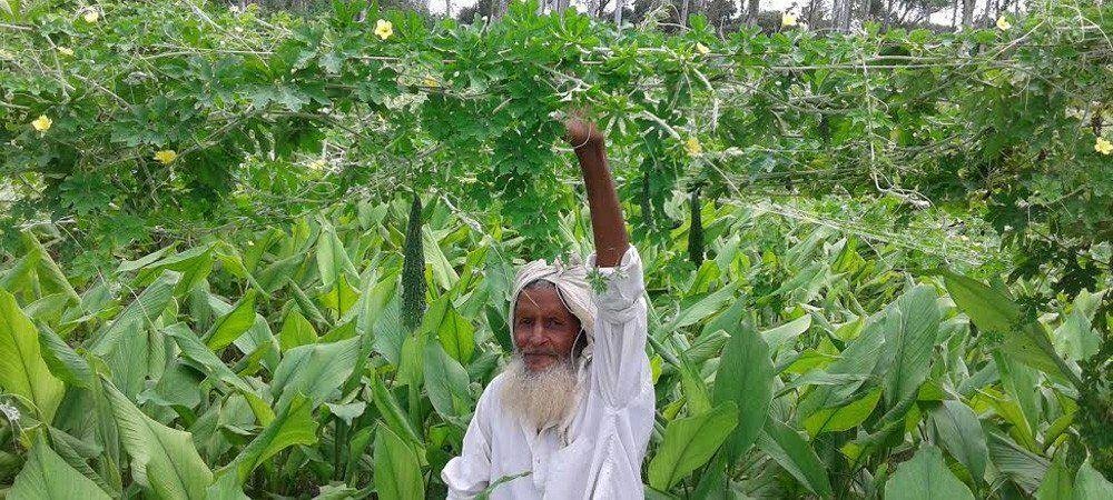 लॉकडाउन में किसानों को मिला रोजगार का नया जरिया