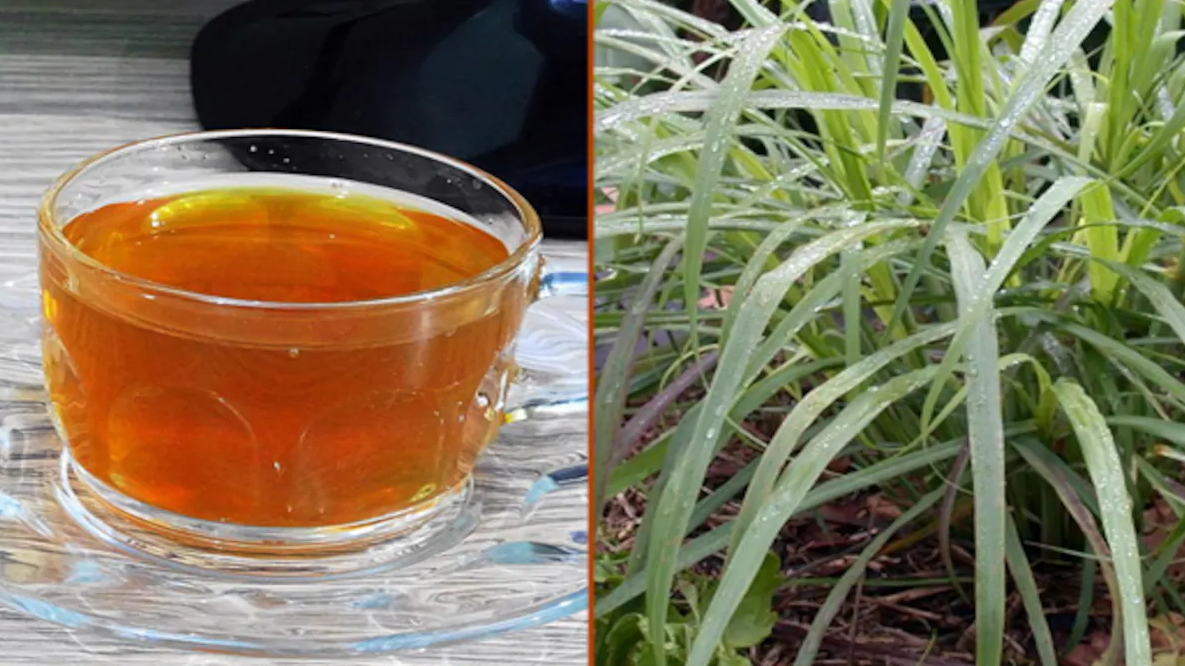 हर्बल लेमन ग्रास चाय