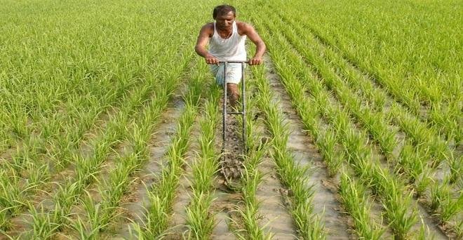 खेती-किसानी में किया कुछ ऐसा बदलाव की बंजर जमीन भी देने लगा फल