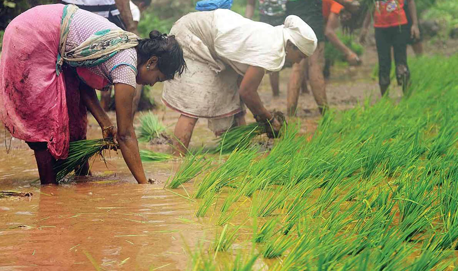 मजदूरी करने वाली इस महिला