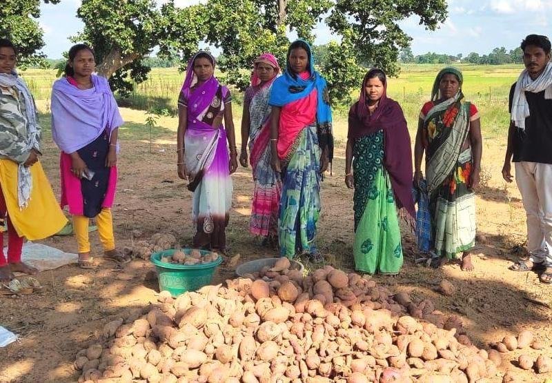 सुराजी गांव योजना छत्तीसगढ़