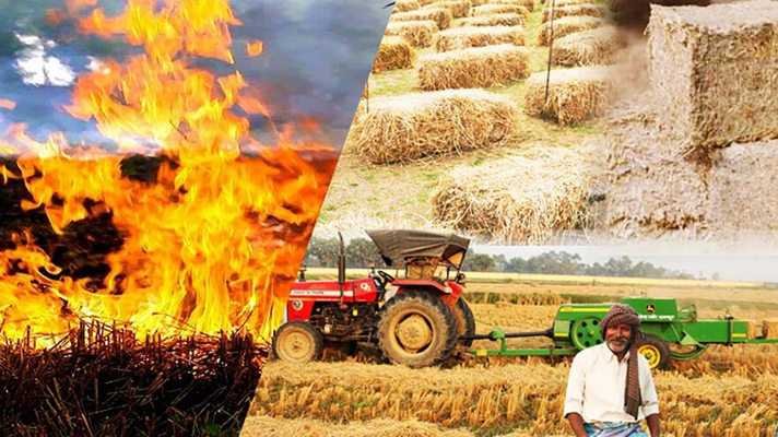 फसलों के अवशेष खेतों में ना जलाएं... मृदा स्वास्थ्य पर होता है विपरीत असर