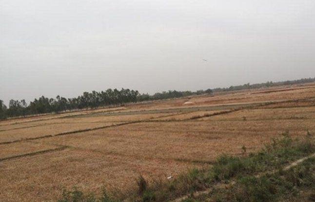 भूमि सुधार योजना