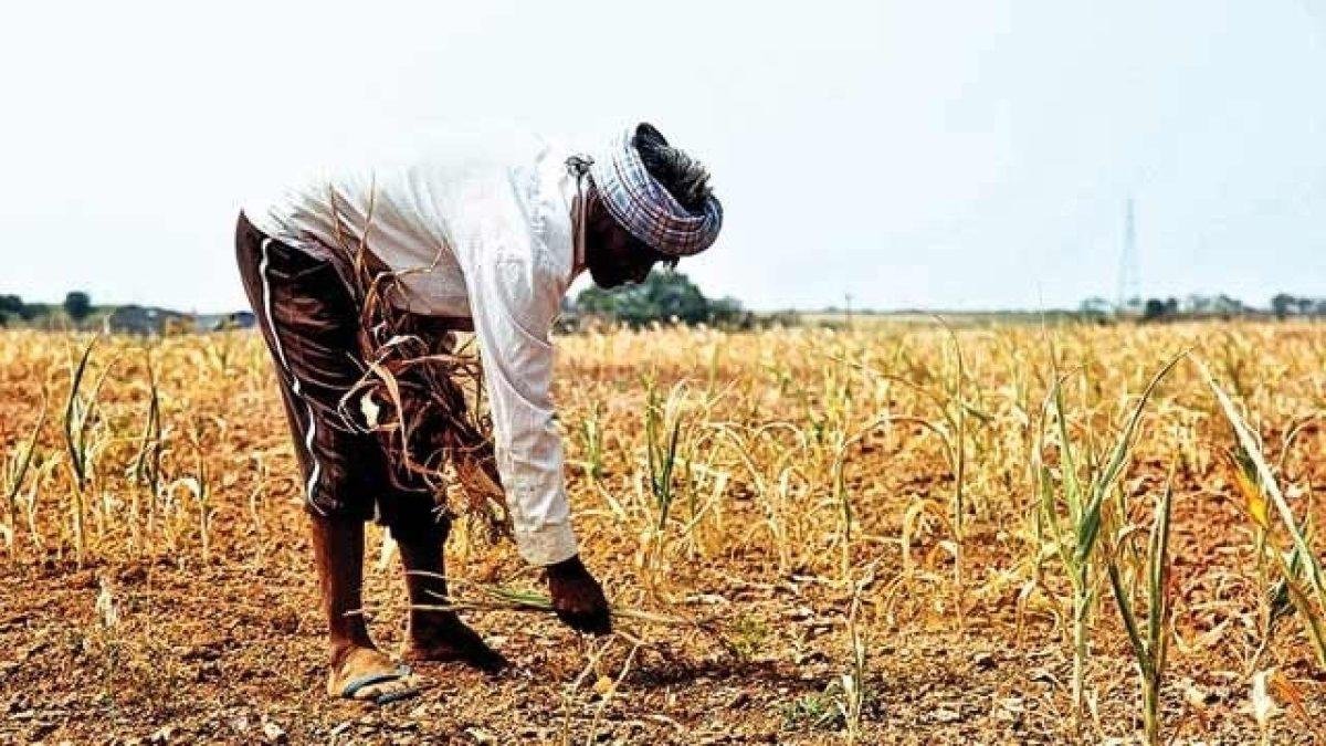 Loan Waiver Scheme In UP