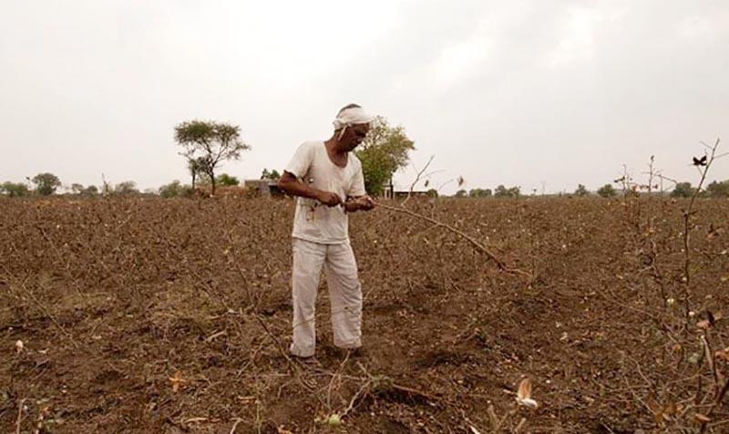 Maharashtra farmer