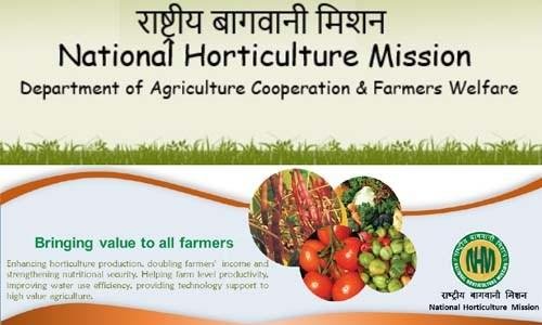 राष्‍ट्रीय बागवानी मिशन योजना राजस्थान सरकार