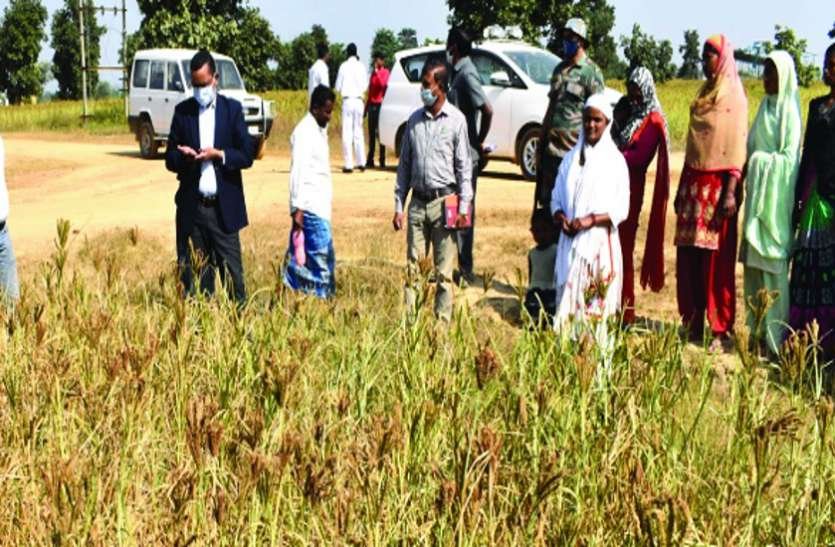 रागी की खेती के साथ ही मछली पालन, मुर्गी पालन