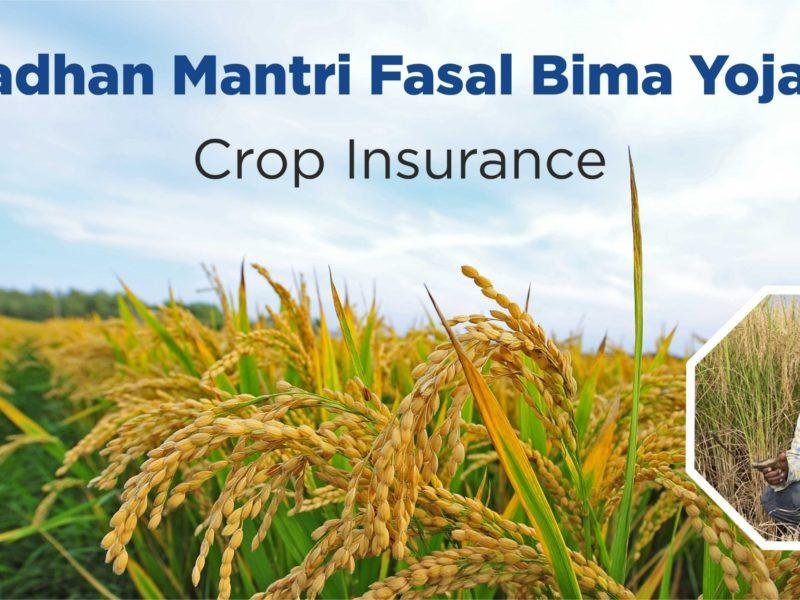 Pradhan Mantri Fasal Bima Yojana