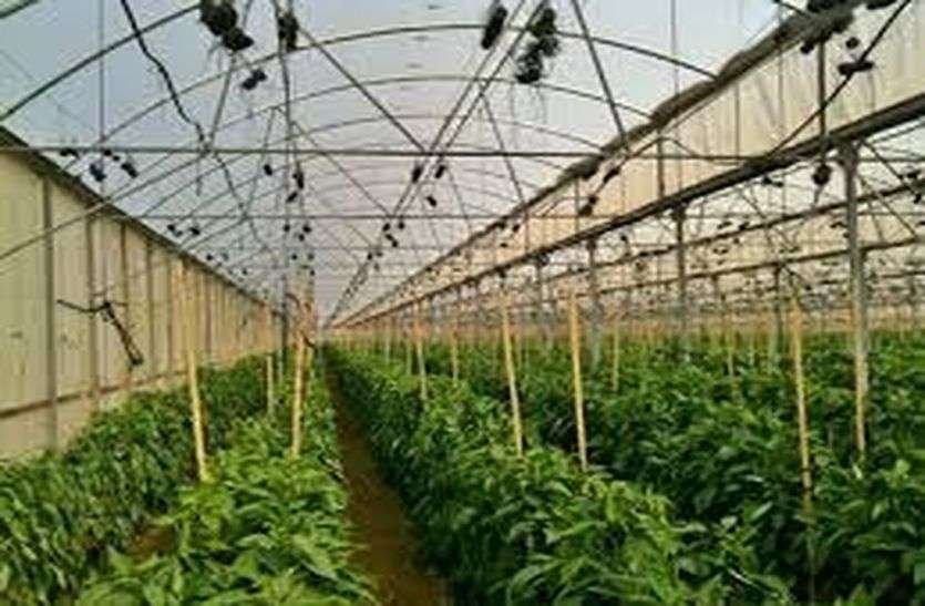 उद्यानिकी योजनाऐं राजस्थान सरकार