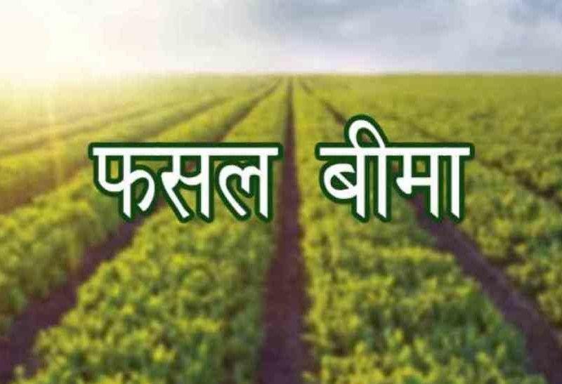 फसल बीमा