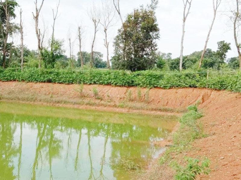 मेढ़ों पर खेती के फायदे