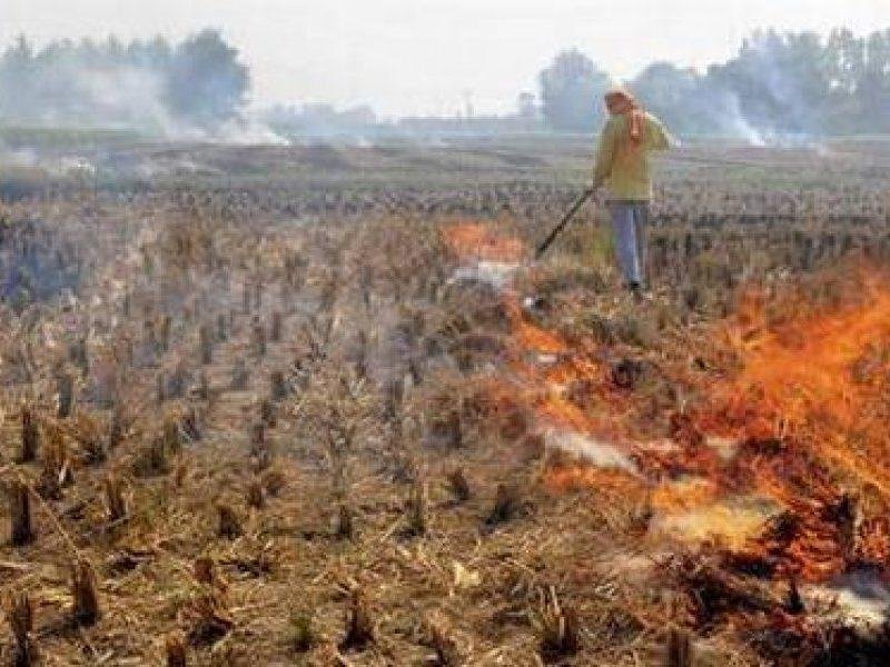 खेतों में फसल अवशेष जलाने वाले