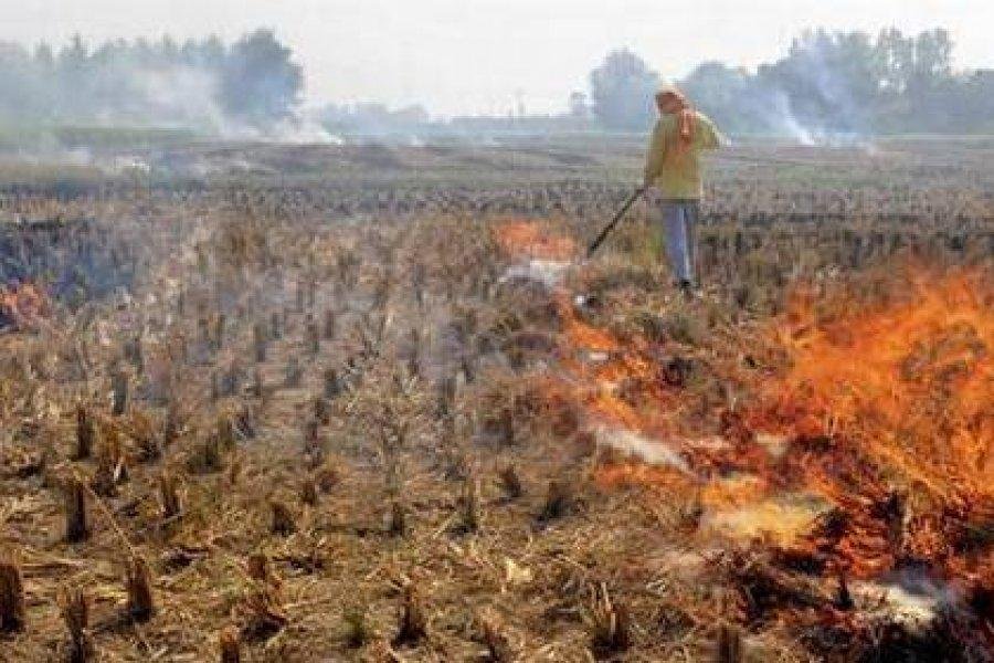 खेतों में फसल अवशेष जलाने वाले