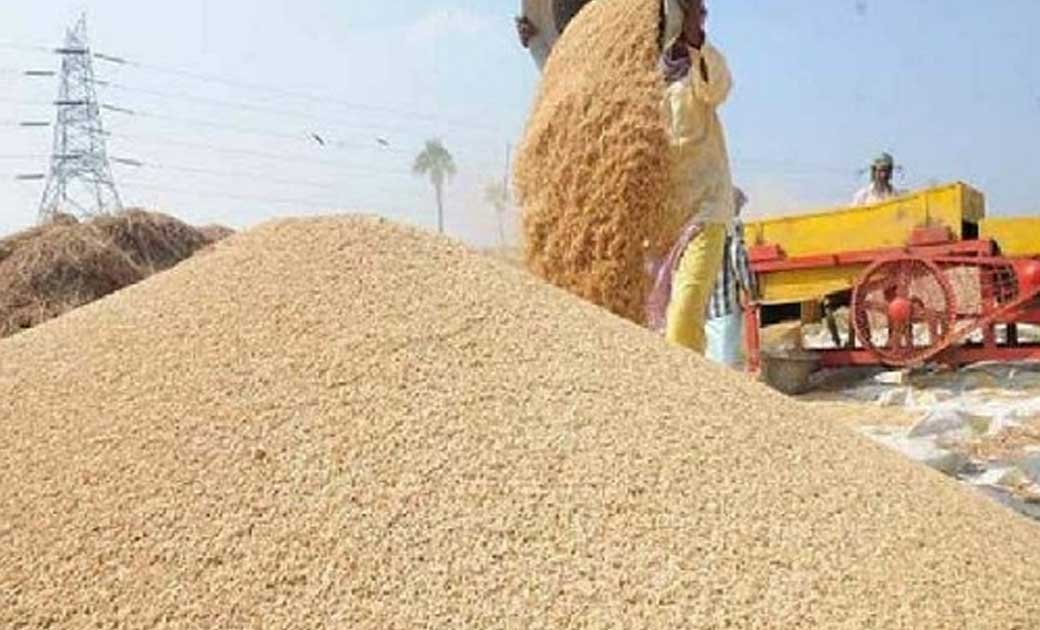 धान आयात पर प्रतिबंध