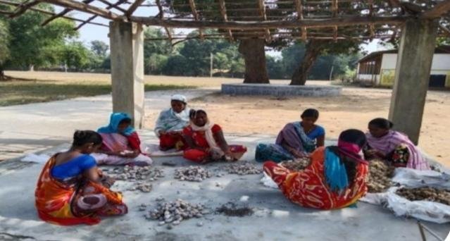 कोसा से चमकने लगी महिलाओं की किस्मत