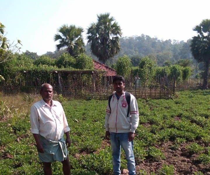 धान के साथ-साथ मूंग खेत कर दोगुना लाभ कमाया इस किसान ने