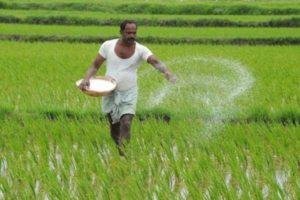 जैविक खेती से लहलहाए खेत तो प्रशिक्षण में जुटी रानी