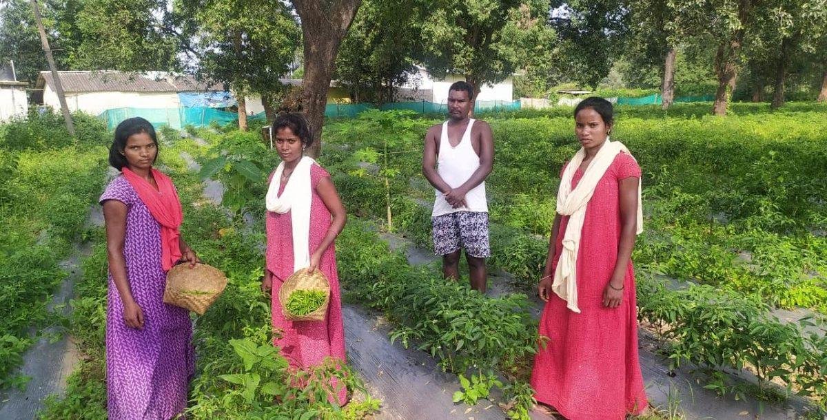 तीखी मिर्ची भी ला रही खुशहाली