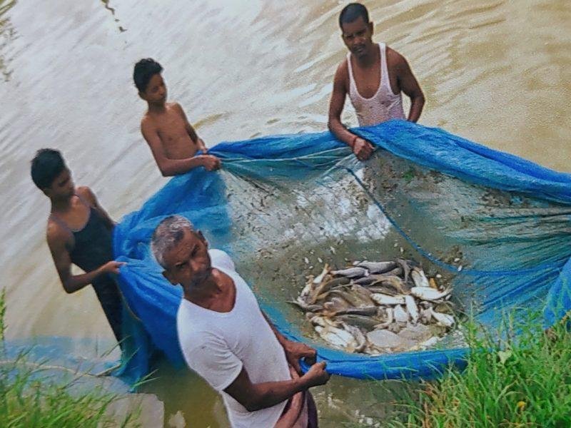 मत्स्य पालन बना किसानों की उन्नति की राह