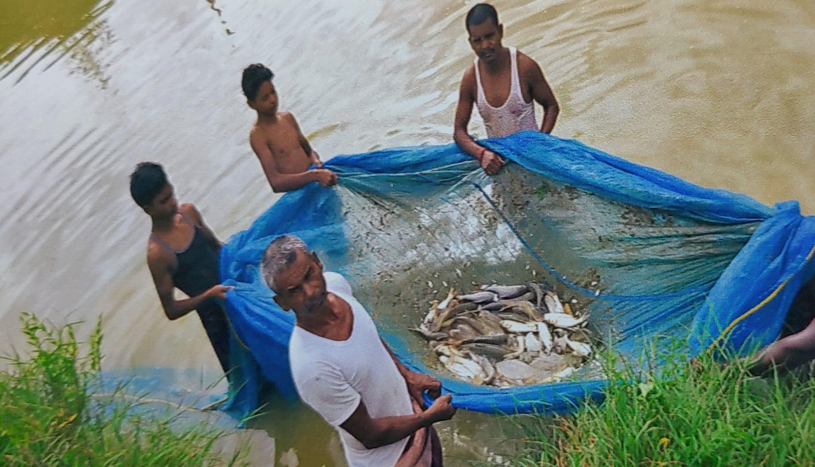 मत्स्य पालन बना किसानों की उन्नति की राह