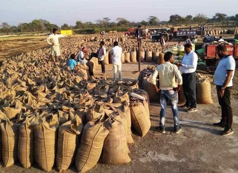 इस राज्य में दो साल में बढ़ी धान बेचने वाली किसानों की संख्या
