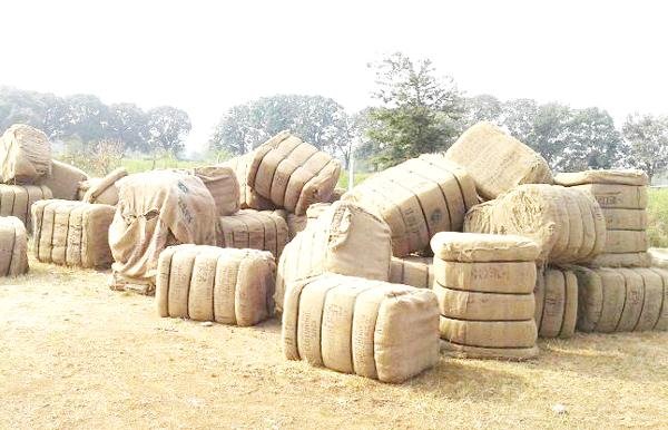 किसानों के पुराने जूट बारदानों का उपयोग होगा धान
