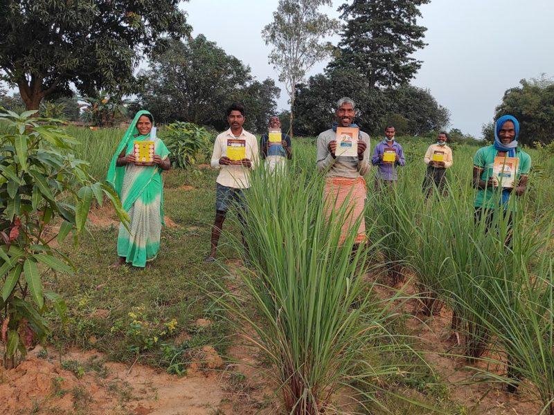 वृक्षारोपण के साथ लेमनग्रास