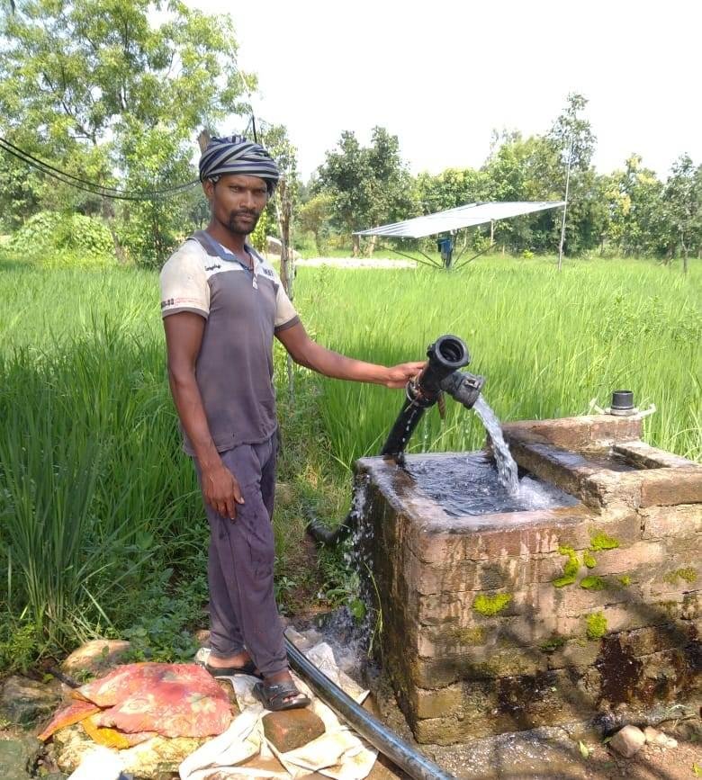 मिश्रित खेती