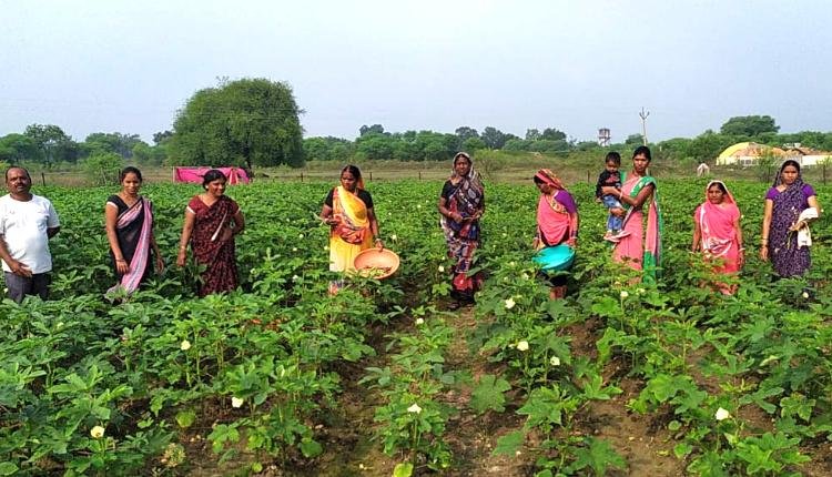 आत्मनिर्भरता की ओर अग्रसर महिलाएं