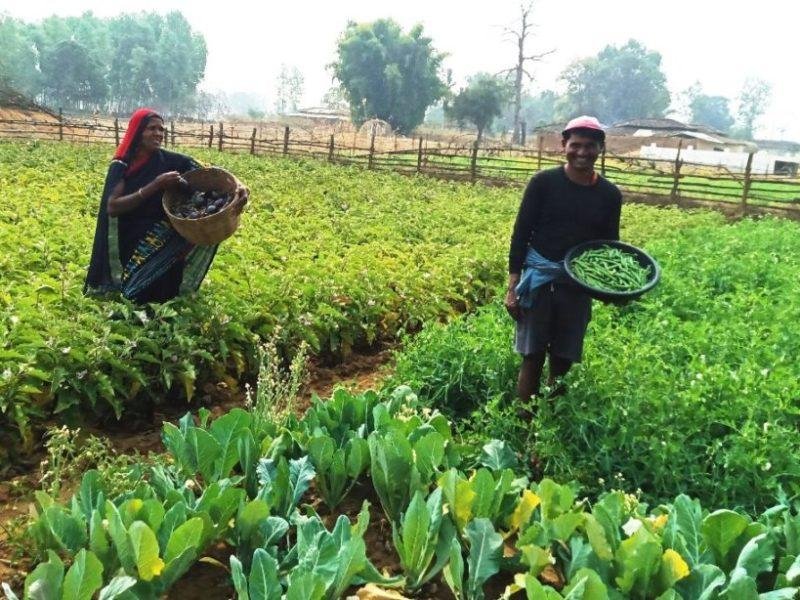 जीवन साथी लक्ष्मनिया के हाथों की बनी तरकारी