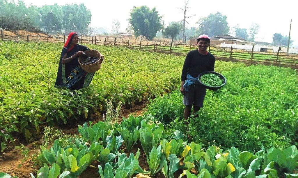 जीवन साथी लक्ष्मनिया के हाथों की बनी तरकारी