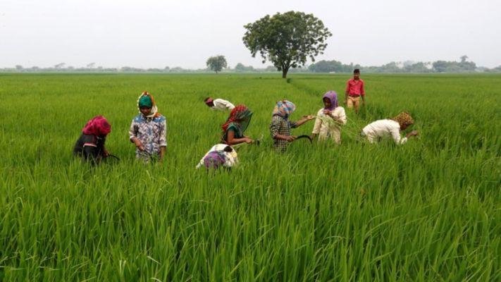 किसानों के हित में तीन विभाग मिलकर बनाएंगे संयुक्त कार्य-योजना