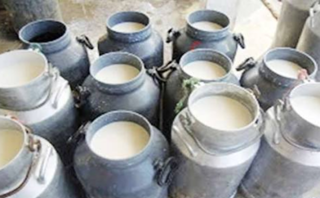 डेयरी व्यवसाय बना रहा लखपति