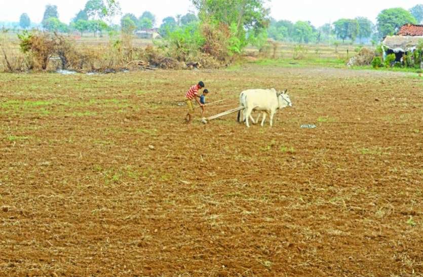 किसानों को खरीफ की तैयारियों के लिए 1500 करोड़ रूपए की सौगात